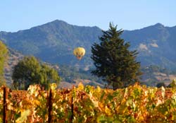Napa Hot Air Balloon Rides