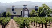 Napa Winery