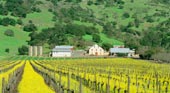 Napa Sonoma Real Estate